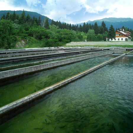 Affittacamere Alle Trote Sùtrio Exteriör bild